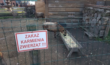 Jaworzno: obchody Światowego Dnia Ubogich w Betlejem (fot. M. Wójtowicz)